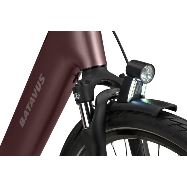 Batavus  Batavus Finez PT Flex accu Elektrische Damesfiets 8 Burgundy Red matt