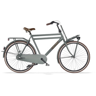 Cortina  U4 Transport Muted Sage Matte RN3