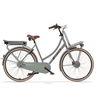 Cortina  E-U4 Transport Muted Sage Matte DB7 SDFM