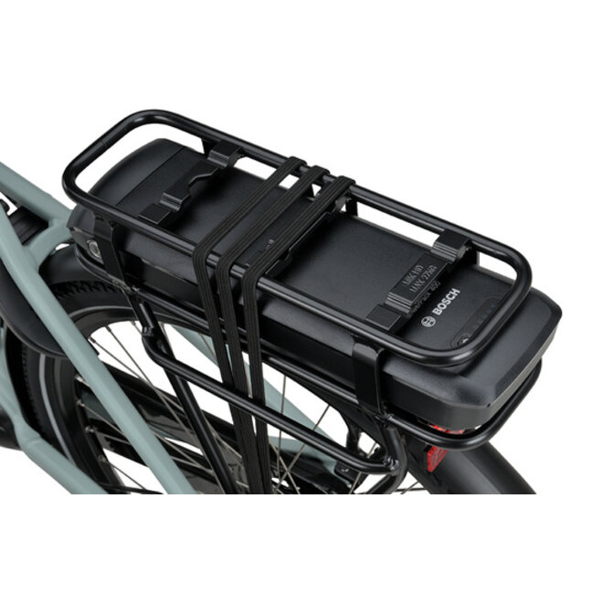 Batavus  Altura CP plus