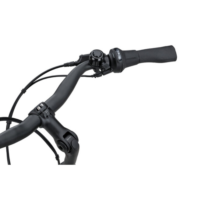 Batavus  Altura CP plus