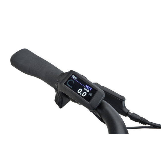 Batavus  Altura PT Pro