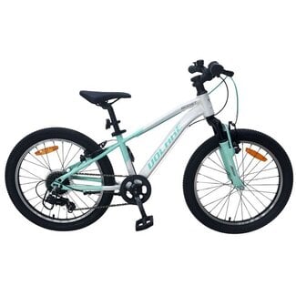 Volare fietsen Boost 24 inch 21 Speed /mintgroen