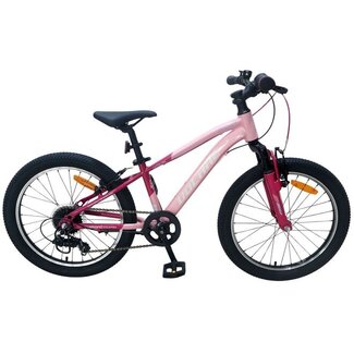 Volare fietsen Boost 24 inch 21 Speed