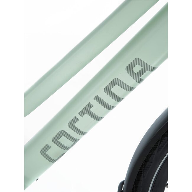 Cortina  E-Lett elektrische fiets Dames en Heren
