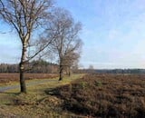 Mooiste fietsroutes van Nederland