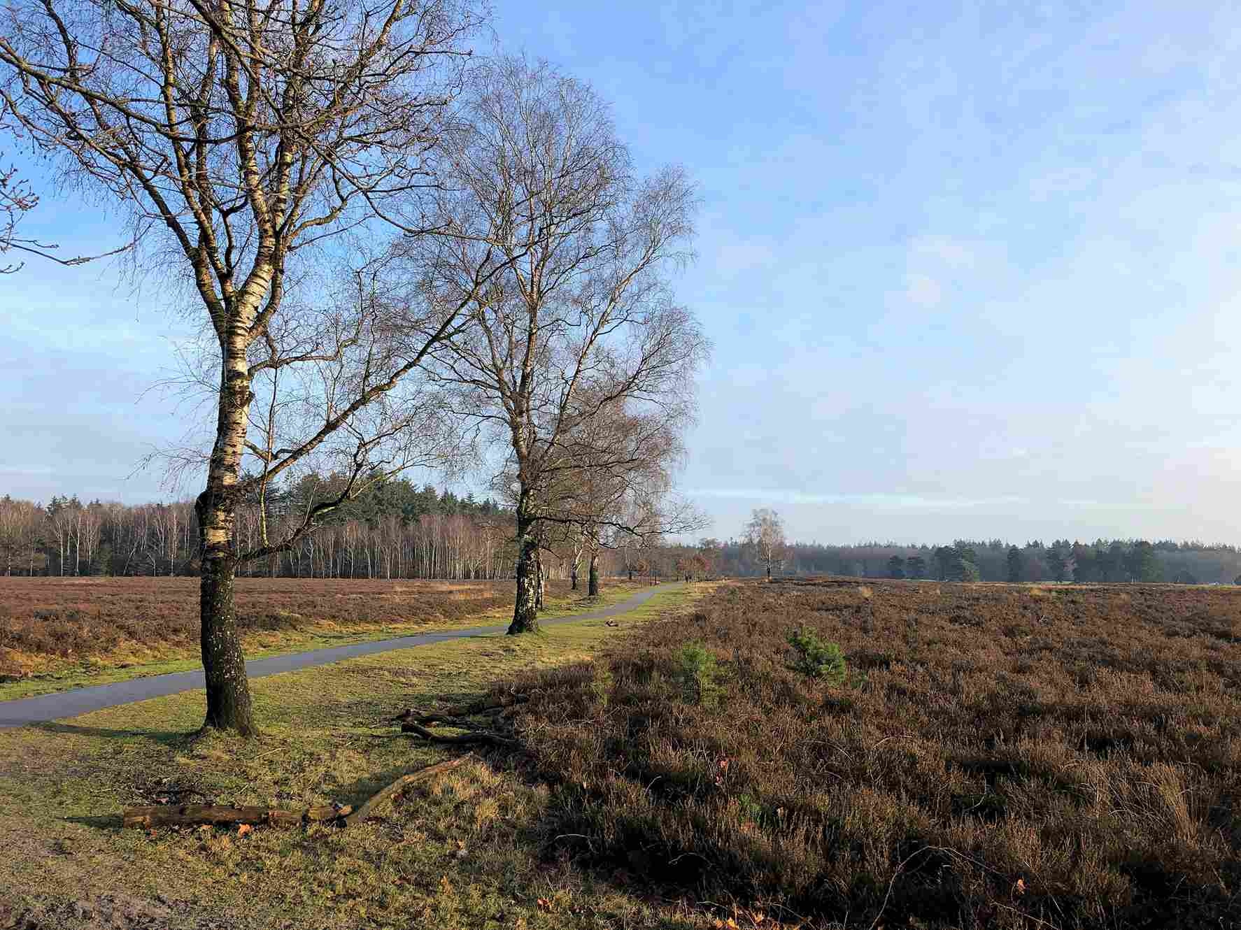 Mooiste fietsroutes van Nederland