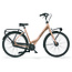 Cortina  Common transportfiets en moederfiets