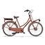 Cortina  E-U4 Bosch Transport en Family elektrische transportfiets