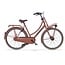 Cortina  U4 Transport Dames 2026 transportfiets