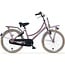 Alpina Kinderfietsen Cargo 16 tot 22 inch kinderfiets