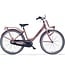 Alpina Kinderfietsen Clubb 20 tot 26 inch kinderfiets