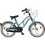 Alpina Kinderfietsen Ocean 16 tot 22 inch kinderfiets