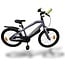 Alpina Kinderfietsen Trial 16 tot 26 inch kinderfiets