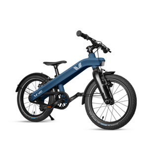 Vici Ride Kinderfiets 16 inch