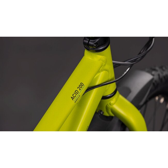 Cube Acid 200 Disc FE · Lizard/Blue · detailfoto