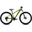 Cube Acid 260 Disc · Lizard/Blue