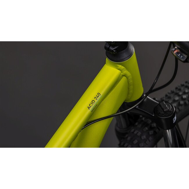 Cube Acid 240 Disc · Lizard/Blue · detailfoto