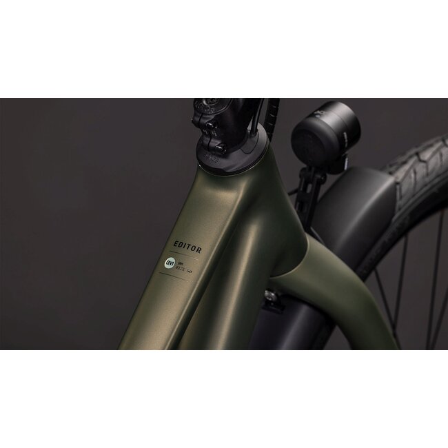 Cube Editor ONE FE · Reedgreen/Black · detailfoto