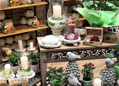 Onlineshop zur Zeit geschlossen