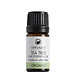 Odylique Essentiële Olie Tea Tree Odylique Essentiële Olie Tea Tree