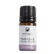 Odylique Essentiële Olie Menopauze & PMS Odylique Essentiële Olie Menopauze & PMS