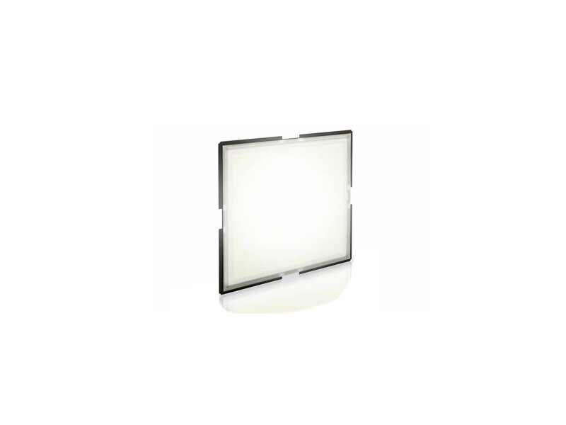 OLED Panel Brite FL300 ww A0 1 PC