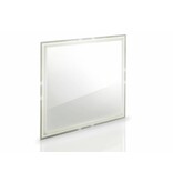 OLED Panel Brite FL300 wm N       