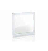 OLED Panel Brite FL300 wm B1 PCAL