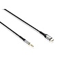 PEPPER JOBS Câble audio C2AUX USB-C vers 3,5 mm
