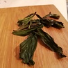 Oolong Tee Fenghuang Milanxiang Dancong (single bush) 2023 Oolong Tee Fenghuang Milanxiang Dancong (single bush) 2023