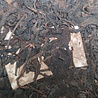 CNNP (Zhongcha) CNNP Big Font Round Tea (sheng) 1990er CNNP (Zhongcha) CNNP Big Font Round Tea (sheng) 1990er