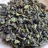 Oolong tea Spring Jade Benshan Wang (Root Mountain) 2021 Oolong tea Spring Jade Benshan Wang (Root Mountain) 2021