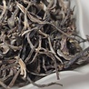 Shudaizi Loser Pu-erh Tee Banpen (sheng) 2020 Shudaizi Loser Pu-erh Tee Banpen (sheng) 2020