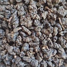 Oolong Tee Winter Gaoshan Shanlinxi (Cedar Forest Creek) 2014 Oolong Tee Winter Gaoshan Shanlinxi (Cedar Forest Creek) 2014