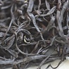 Guyu Tianmuhu Black 2022 Guyu Tianmuhu Black 2022