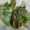Rhine-Hesse Raw Tea 2022 Rhine-Hesse Raw Tea 2022