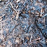 Anhui Heicha Liu'An Tee Zhen Yuan 2004 Anhui Heicha Liu'An Tee Zhen Yuan 2004