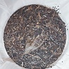 Shudaizi Spring Xigui Gushu (sheng) 2023 Shudaizi Spring Xigui Gushu (sheng) 2023