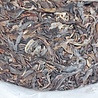 Shudaizi Spring Xigui Gushu (sheng) 2023 Shudaizi Spring Xigui Gushu (sheng) 2023