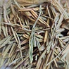 Guyu Tianmuhu Huangjincha (Golden tea) 2023 Guyu Tianmuhu Huangjincha (Golden tea) 2023