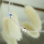 Gegraveerde sieraden Swarovski® Charm Birth Crystal