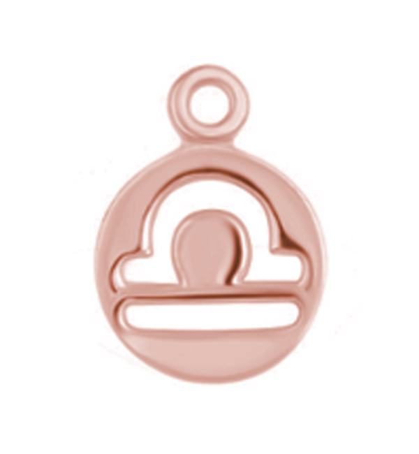 KAYA sieraden Zodiac charm