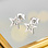 KAYA sieraden Earrings with Star 'Shine Bright' | Stainless Steel