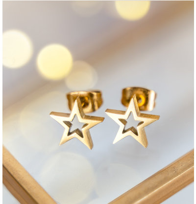 KAYA sieraden Earrings 'Shine Bright' | Stainless Steel