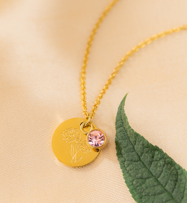 KAYA sieraden Birthstone with Birth Flower Necklace I February