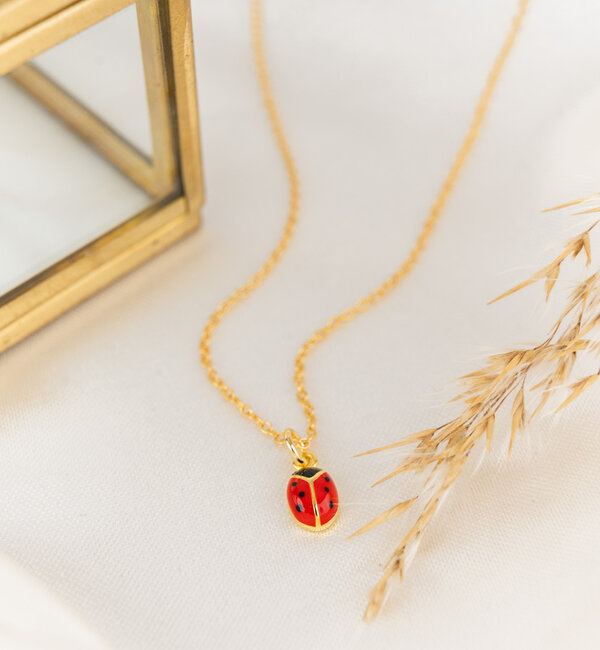 KAYA sieraden Silver Children's Necklace 'Ladybug'