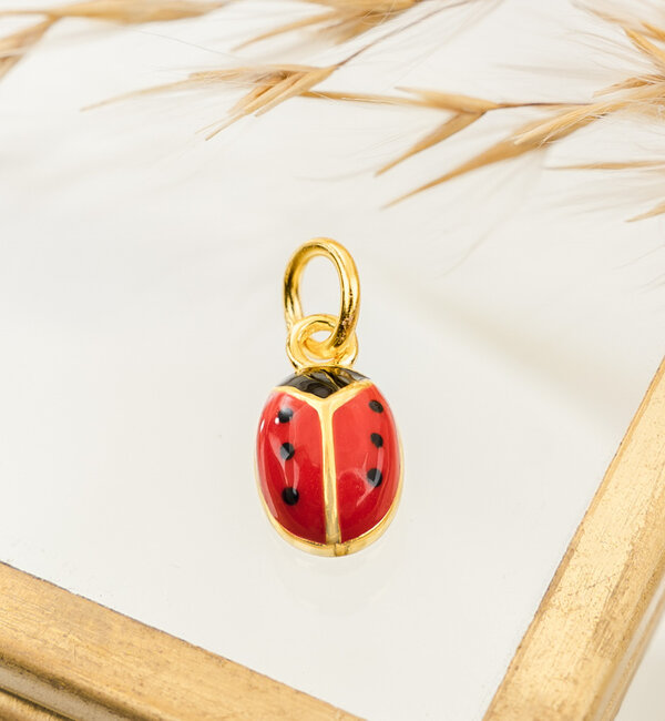 KAYA sieraden Silver charm 'Ladybug'