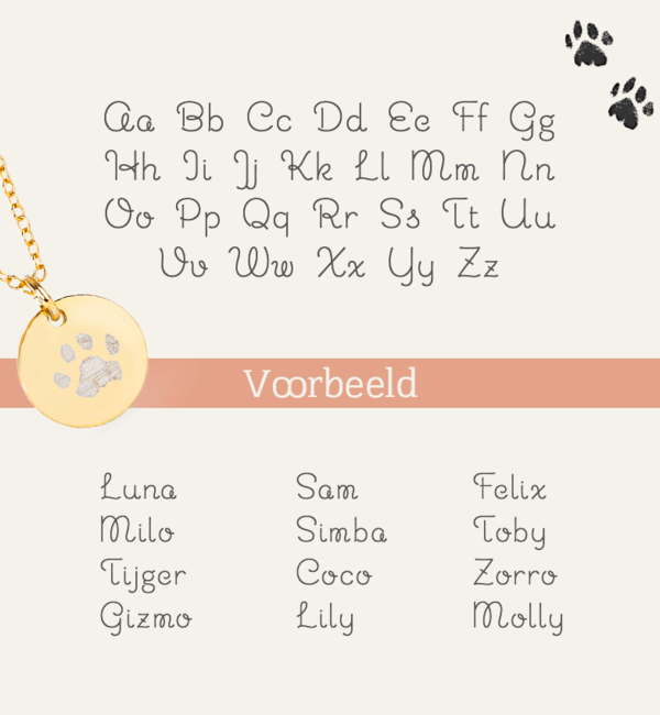 Gegraveerde sieraden Necklace with Paw Print and Name | Black