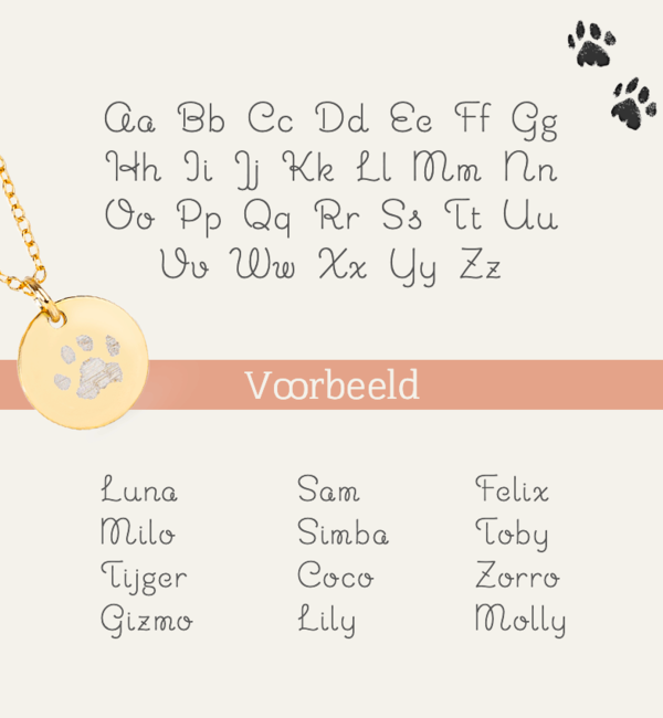 Gegraveerde sieraden Necklace with Paw Print and Name